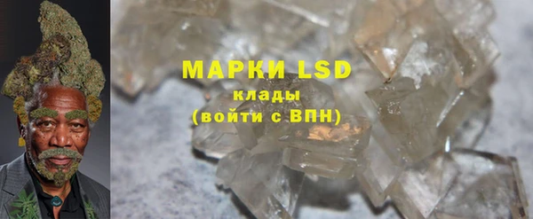 стафф Аркадак