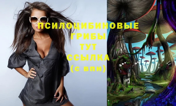 стафф Аркадак