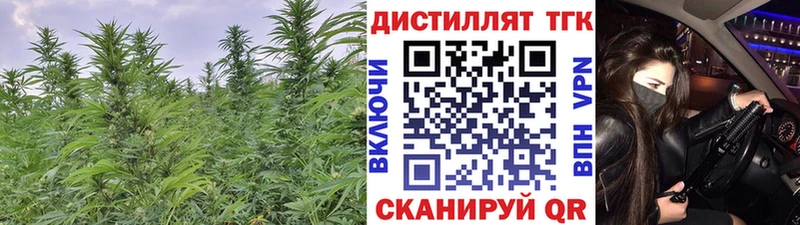 где можно купить   Приволжск  ТГК THC oil 