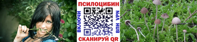 Галлюциногенные грибы Magic Shrooms  Приволжск 